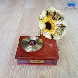 Joyero Tocadisco Caja Musical Cuerda Detalle Melodia Mozart