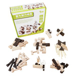 Set Puzzles Ensamblar Madera Desarmar Destreza Mental X9