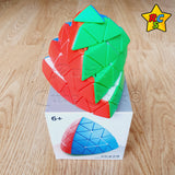 Pyraminx 5x5 Shengshou Piramide Tetraedro Stickerless Cubo Stickerless
