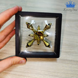 Fidget Spinner Metalico Antiestres Tornasol Dorado Formas
