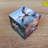 Cubo 3x3 Dinosaurio Fantasía Animal Reptil Stickerless