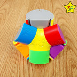 Q-platypus Magnetico Pyraminx Puzzle Shengshou Cubo